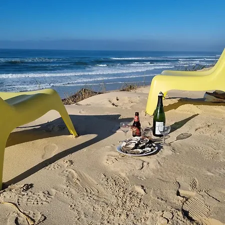 En Premiere Ligne, Face A L'ocean Sur La Dune *