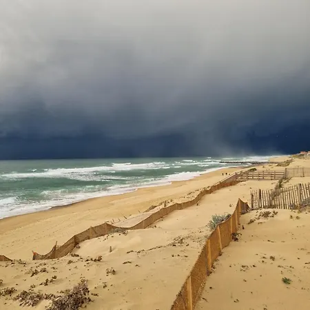 En Premiere Ligne, Face A L'ocean Sur La Dune