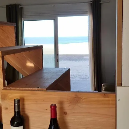 Σπίτι διακοπών En Premiere Ligne, Face A L'ocean Sur La Dune Mimizan-Plage