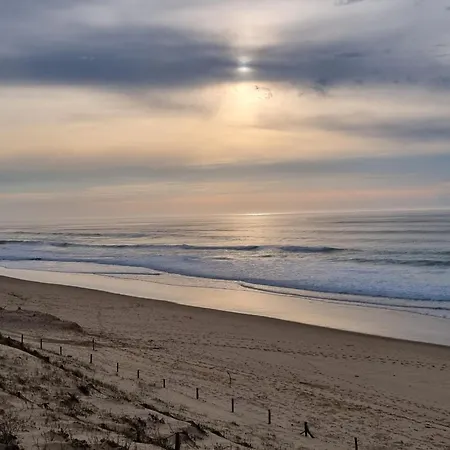 En Premiere Ligne, Face A L'ocean Sur La Dune *